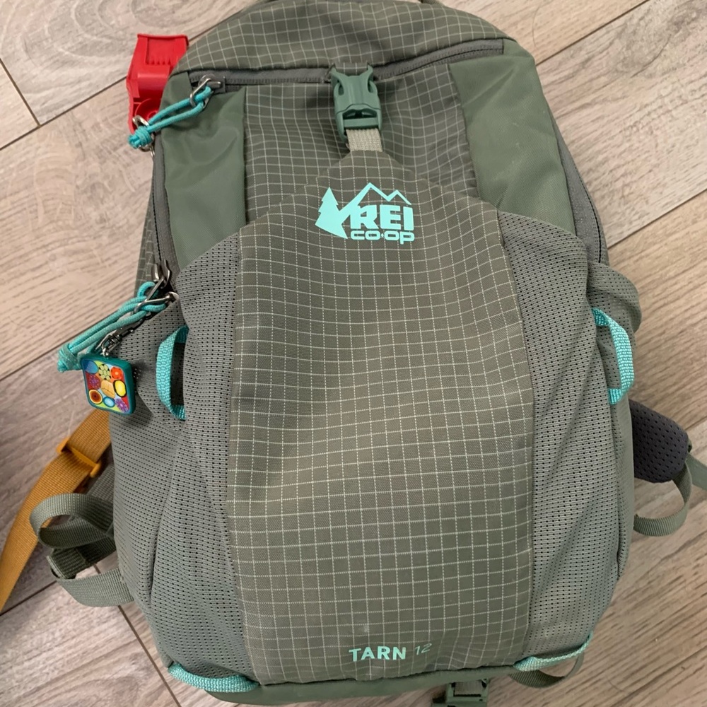 REI Tarn 12L backpack (ages 3-5). Waterproof.